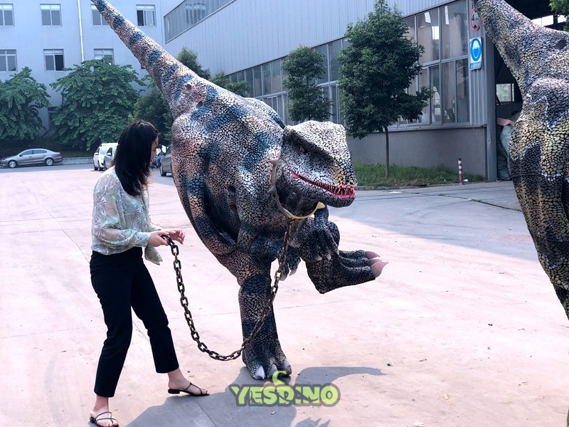 Dinosaur Exhibition in Shopping Centers