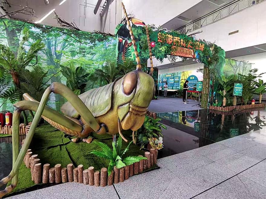 Dinosaur Exhibition in Shopping Centers