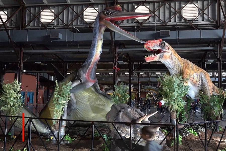 Functions of Dinosaur Exhibitions