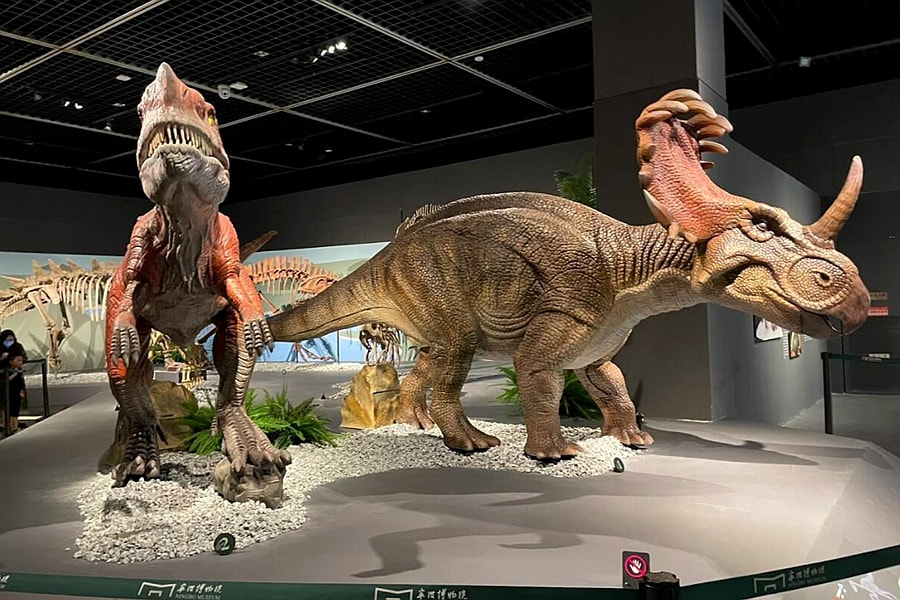 Exhibition Time Classification