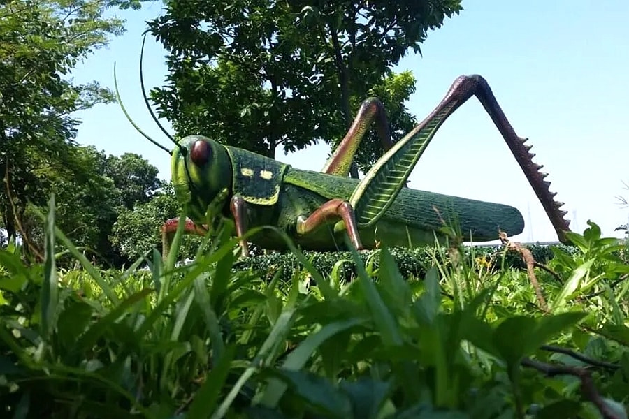 Dinosaur Exhibition in Shopping Centers