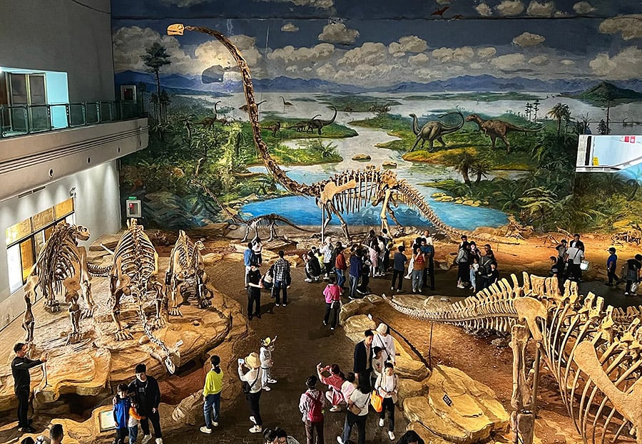 Dinosaur Exhibition in Shopping Centers