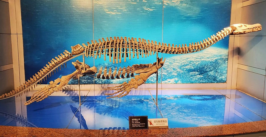 Replica Fossils Preserving the Past