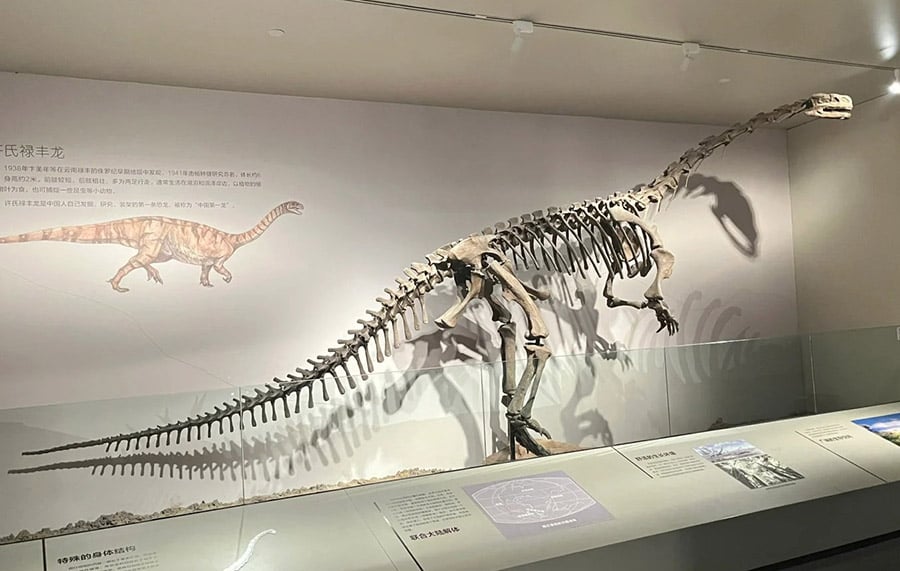 The Making of Real Dinosaur Fossils