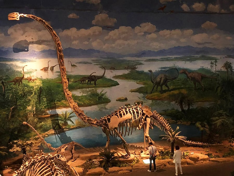 zigong dinosaur museum