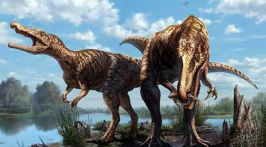 Dinosaur Exhibition in Shopping Centers