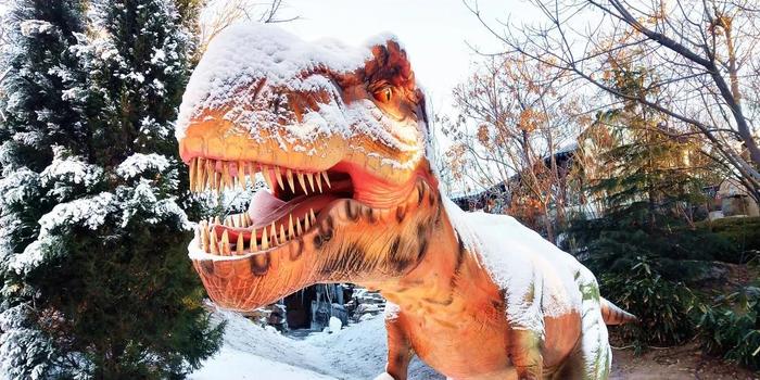 Dinosaur Exhibition in Shopping Centers