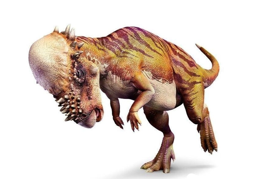 Pachycephalosaurus.jpg