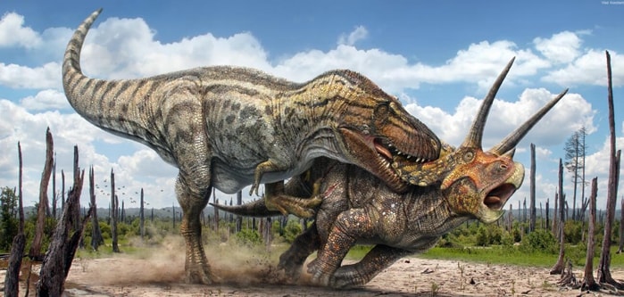 Dinosaur Exhibition in Shopping Centers