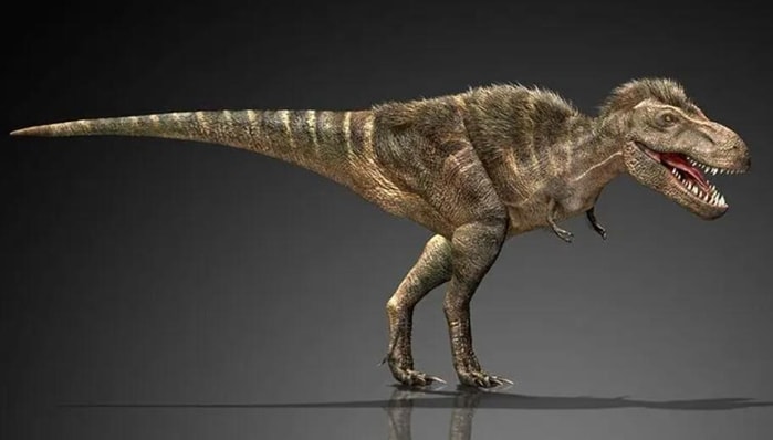 Tarbosaurus.jpg