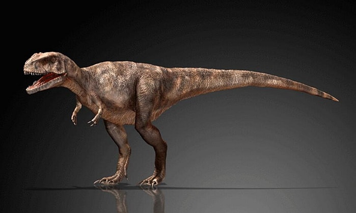 Yangchuanosaurus.jpg