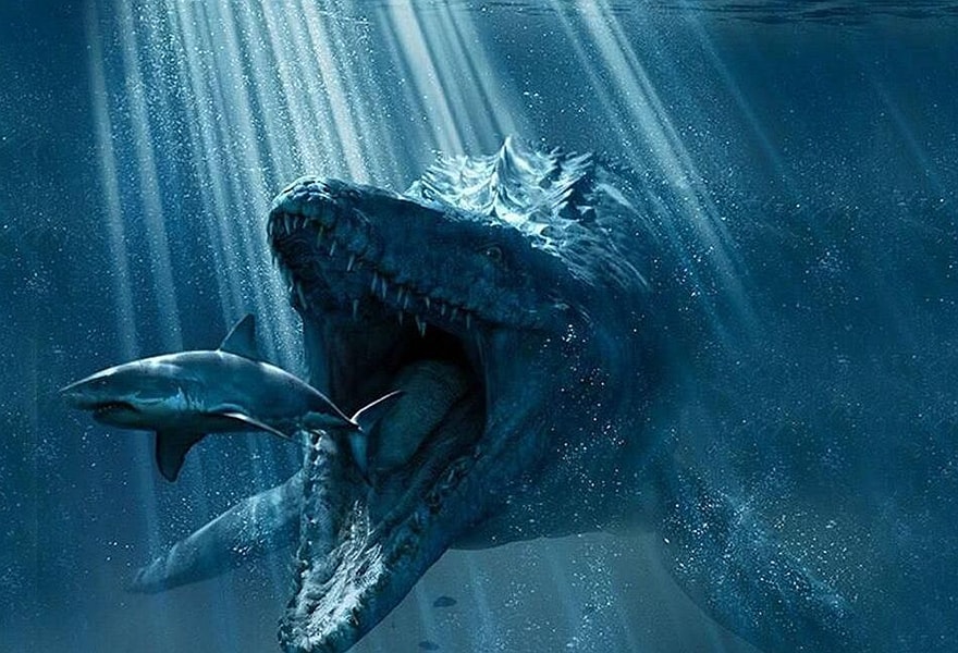 Mosasaurus Mosasaurus