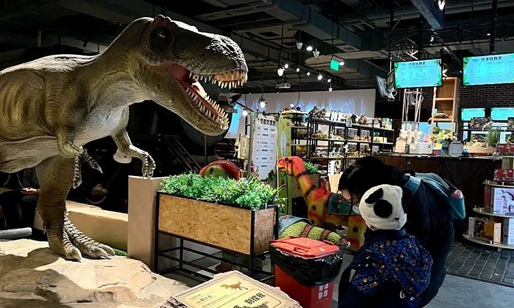 Dinosaur Exhibition in Shopping Centers