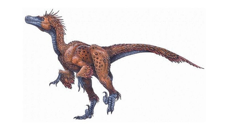 Deinonychus.jpg