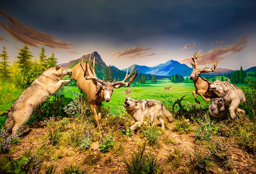 animatronic animals for exhibition.jpeg