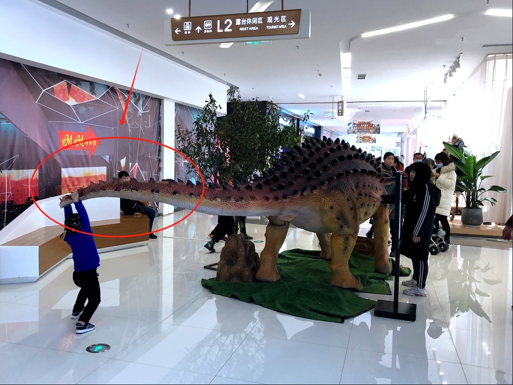 Forcing the Dino's Tail Forcing the Dino's Tail