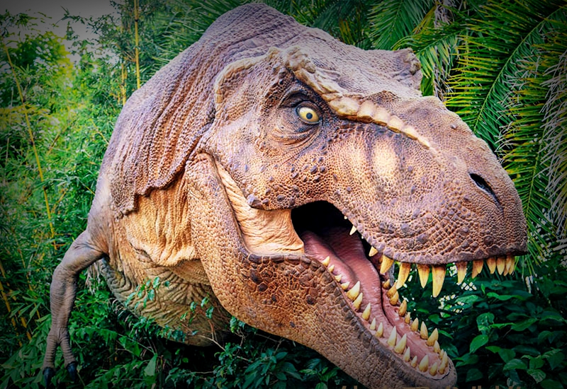 Our Warranty Promise Our Warranty Promise