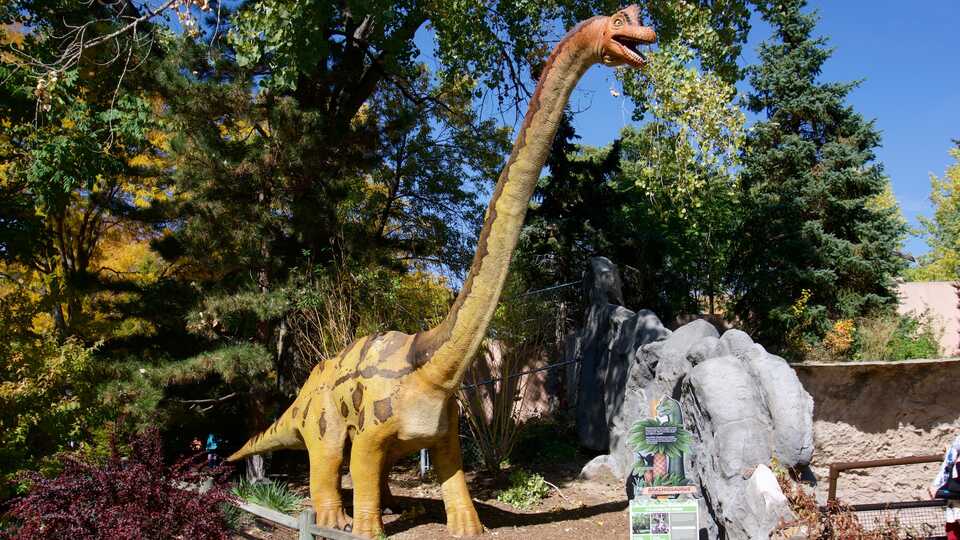 Dinosaur costume sizing 5 measurement tips.jpg