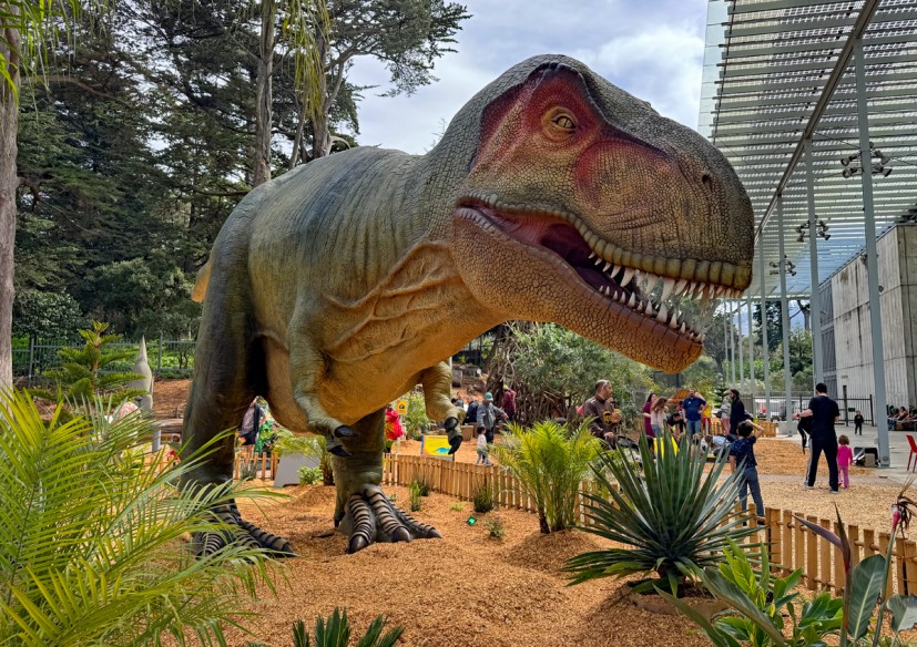 Dinosaur Exhibition in Shopping Centers