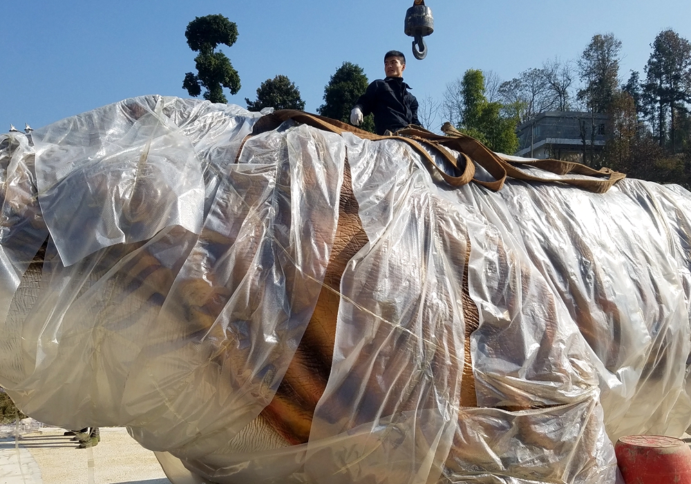 Animatronic dinosaurs wrapped in bubble wrap Animatronic dinosaurs wrapped in bubble wrap