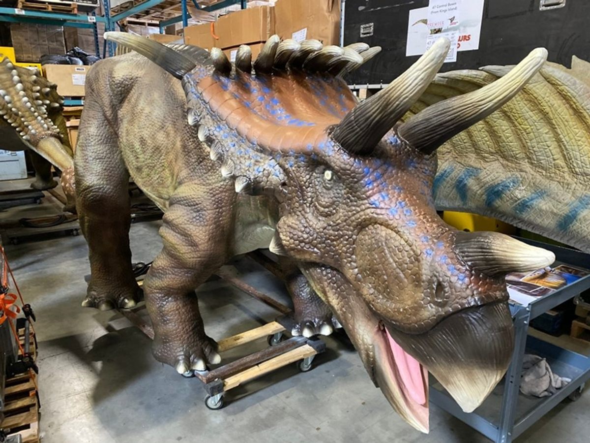 Dinosaur Exhibition in Shopping Centers