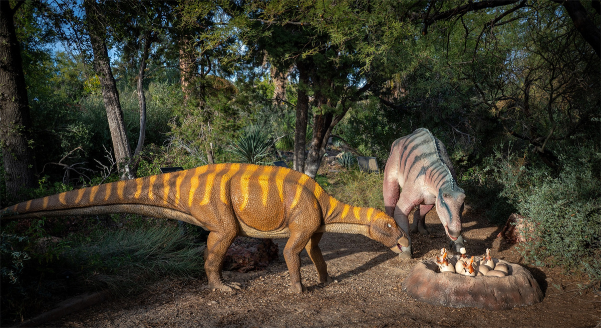 Dinosaur Exhibition in Shopping Centers