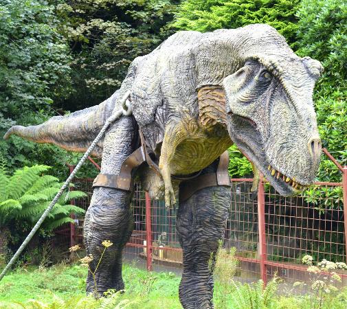 Dinosaur Exhibition in Shopping Centers