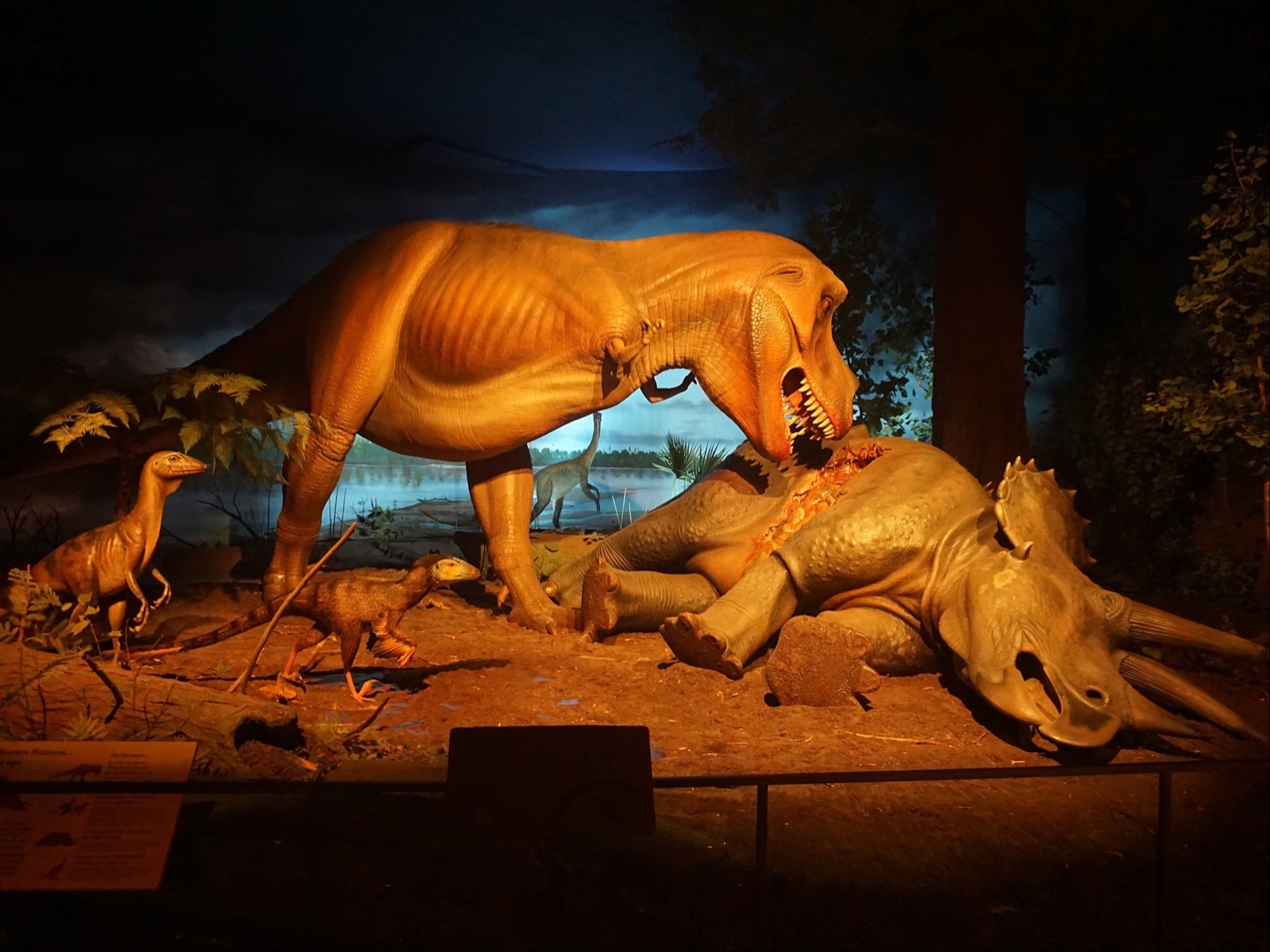 Dinosaur Exhibition in Shopping Centers