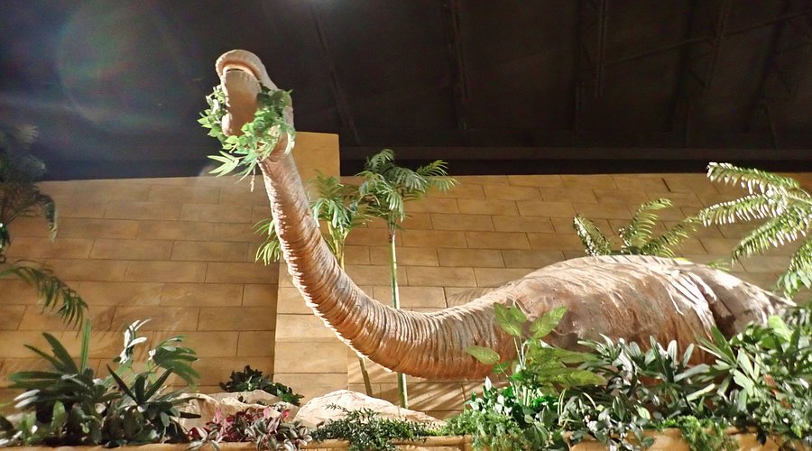 Dinosaur Exhibition in Shopping Centers