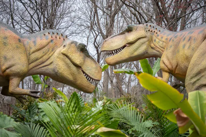 Dinosaur Exhibition in Shopping Centers