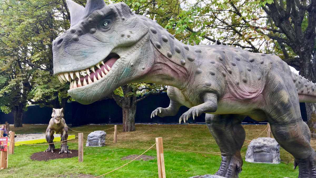 Dinosaur Exhibition in Shopping Centers