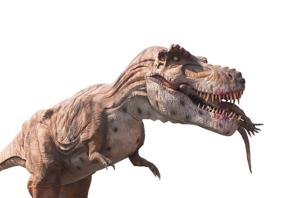 Dinosaur Exhibition in Shopping Centers