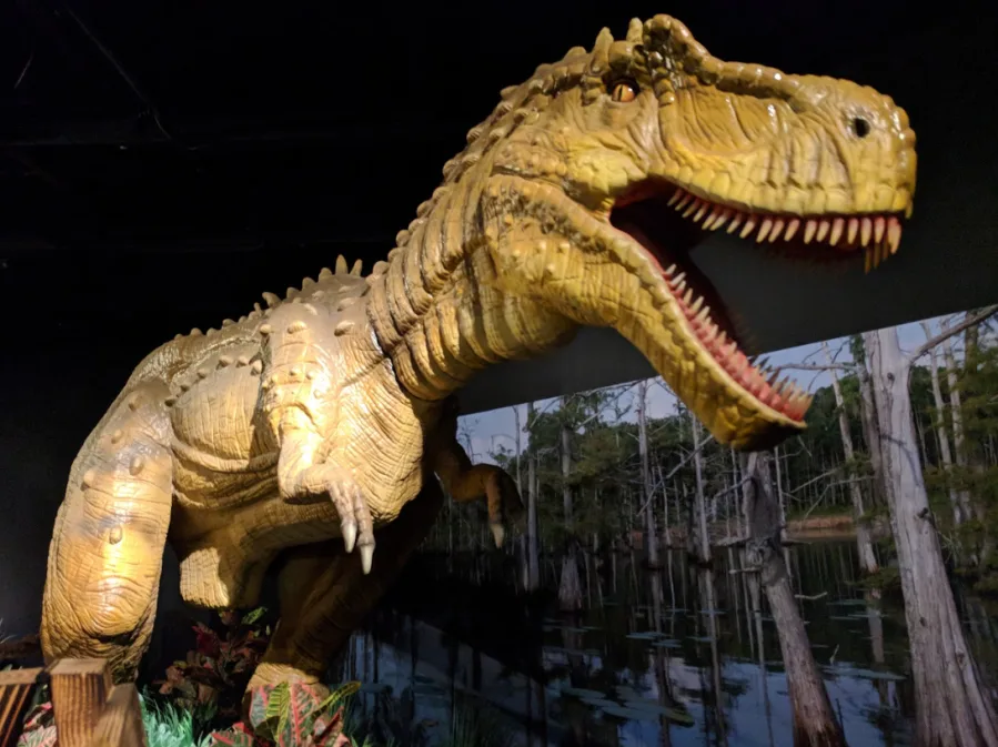 Dinosaur Exhibition in Shopping Centers
