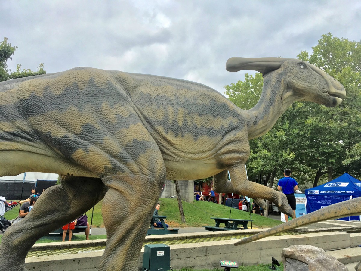 Dinosaur Exhibition in Shopping Centers