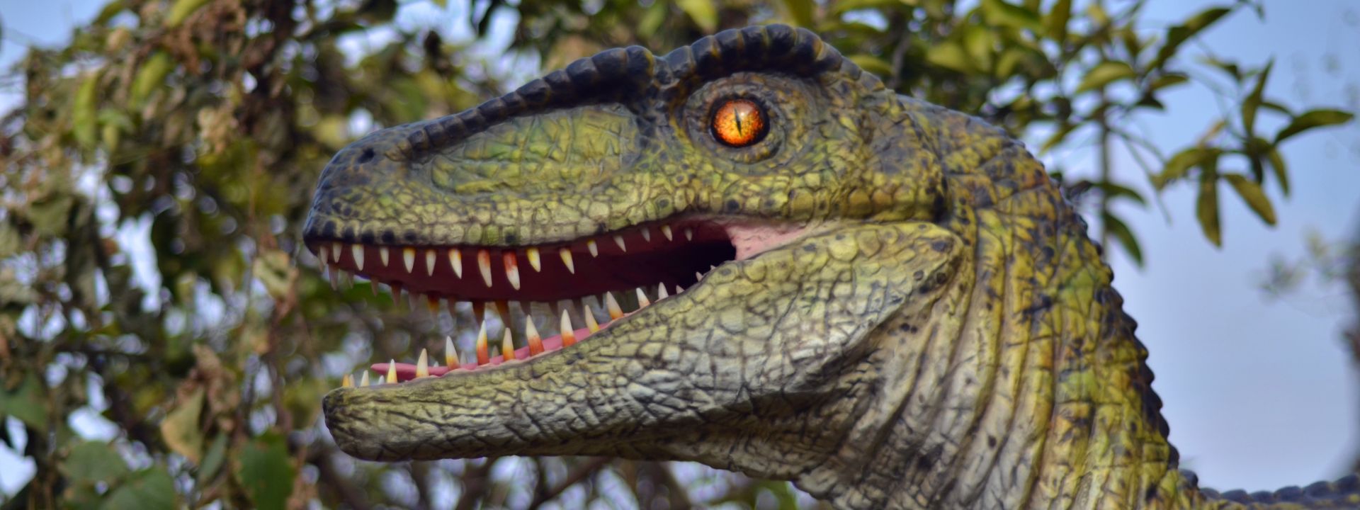 Dinosaur Exhibition in Shopping Centers