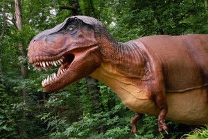 Dinosaur Exhibition in Shopping Centers