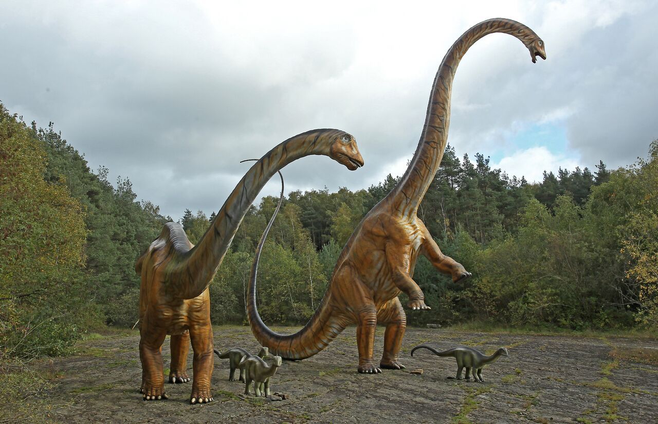 dinopark_o1_1494066068.jpg