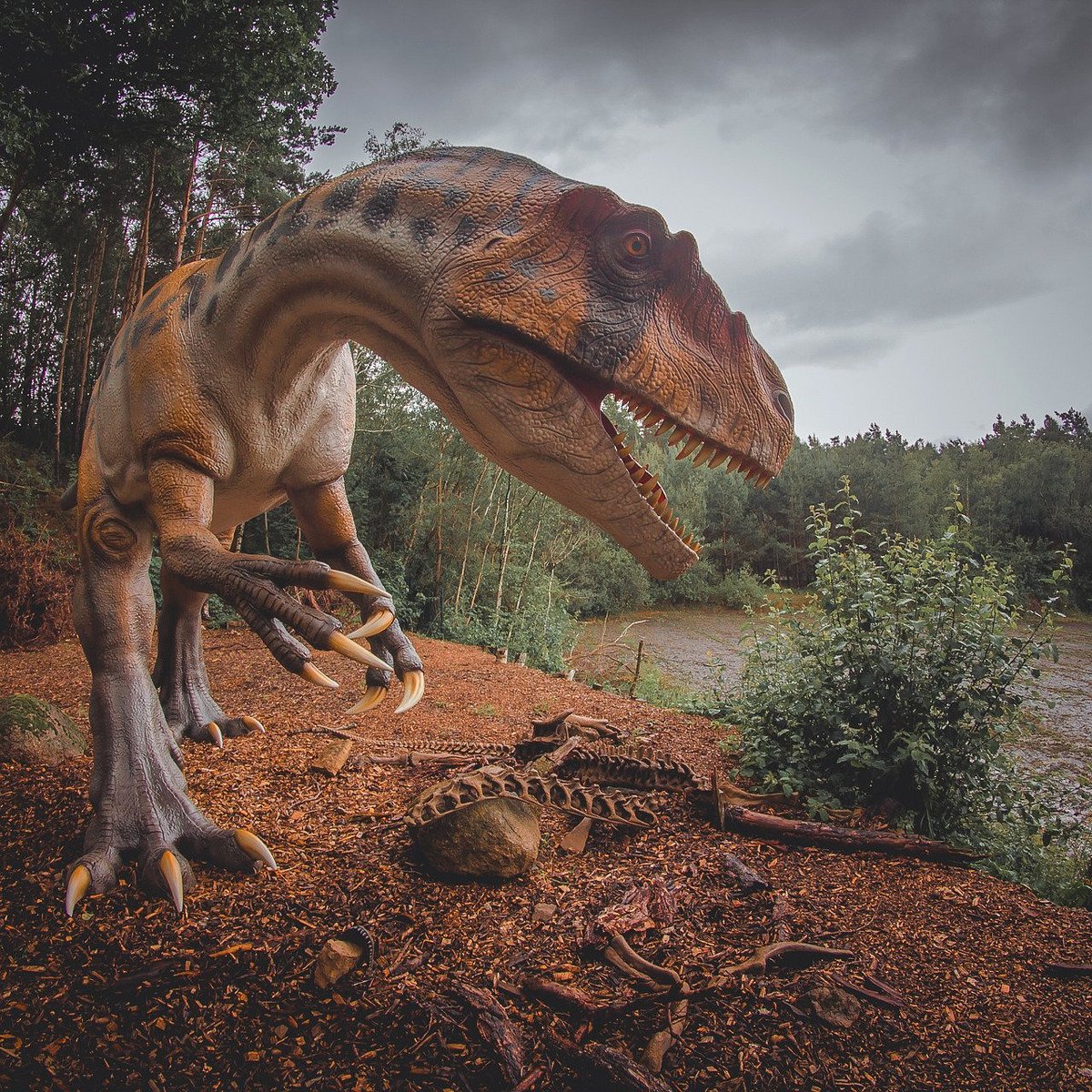 Dinosaur Exhibition in Shopping Centers