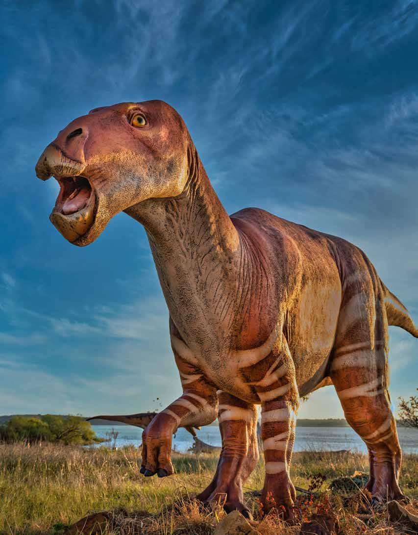 Dinosaur Exhibition in Shopping Centers