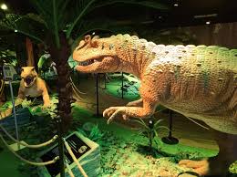 images (20).jpg images (20).jpg