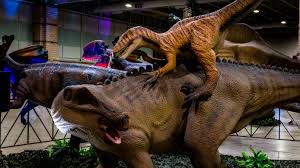 images (18).jpg images (18).jpg