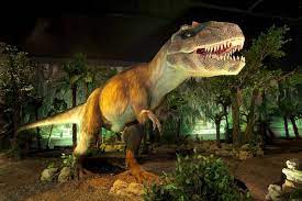 images (14).jpg images (14).jpg