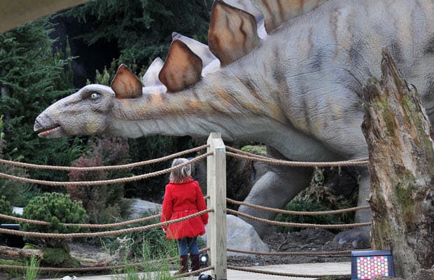 Dinosaur Exhibition in Shopping Centers