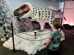 Dinosaur Exhibition in Shopping Centers