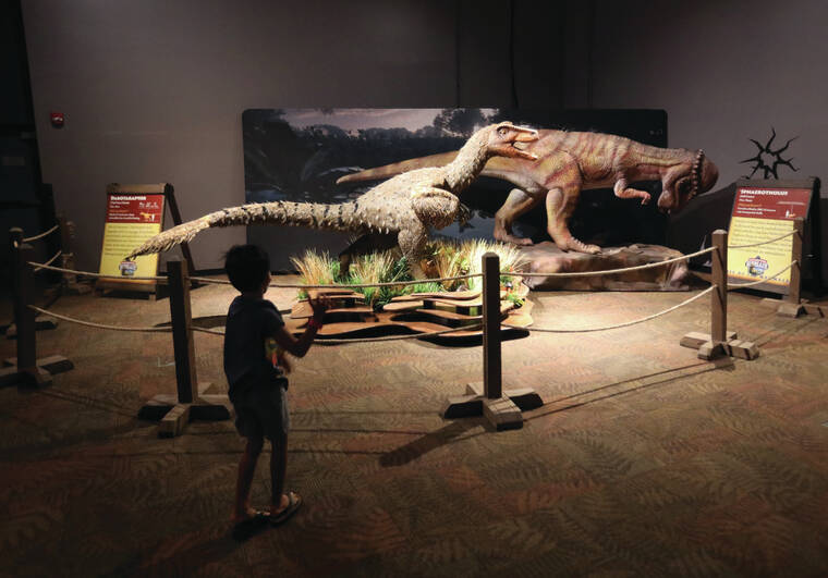 Dinosaur Exhibition in Shopping Centers