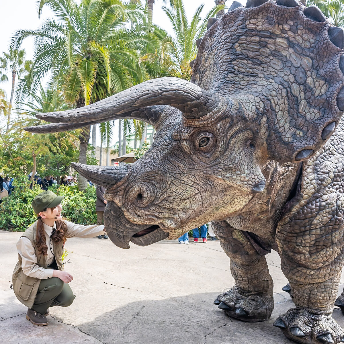 Dinosaur Exhibition in Shopping Centers
