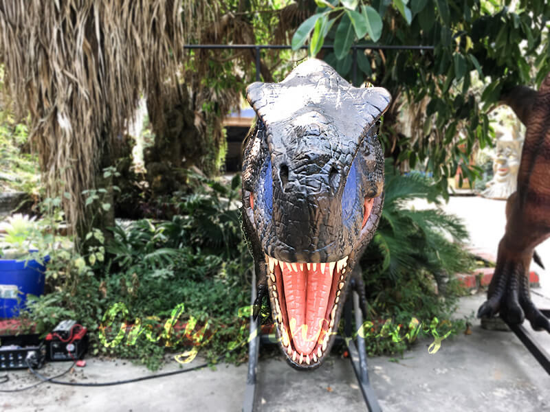 Dinosaur Exhibition in Shopping Centers