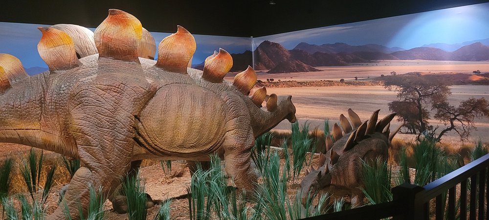 Dinosaur Exhibition in Shopping Centers