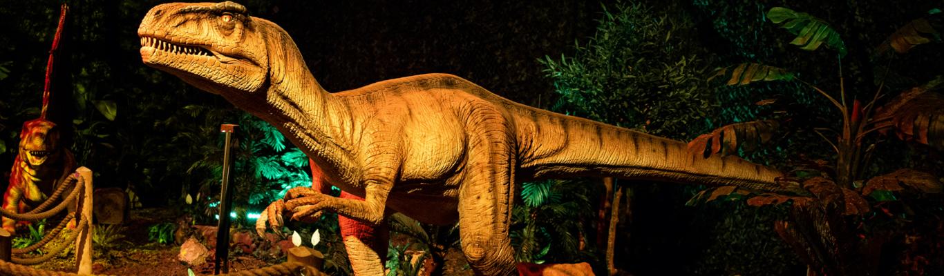 Dinosaur Exhibition in Shopping Centers