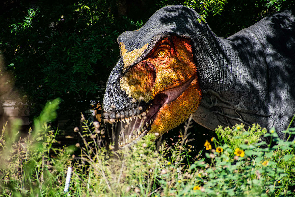 Dinosaur Exhibition in Shopping Centers